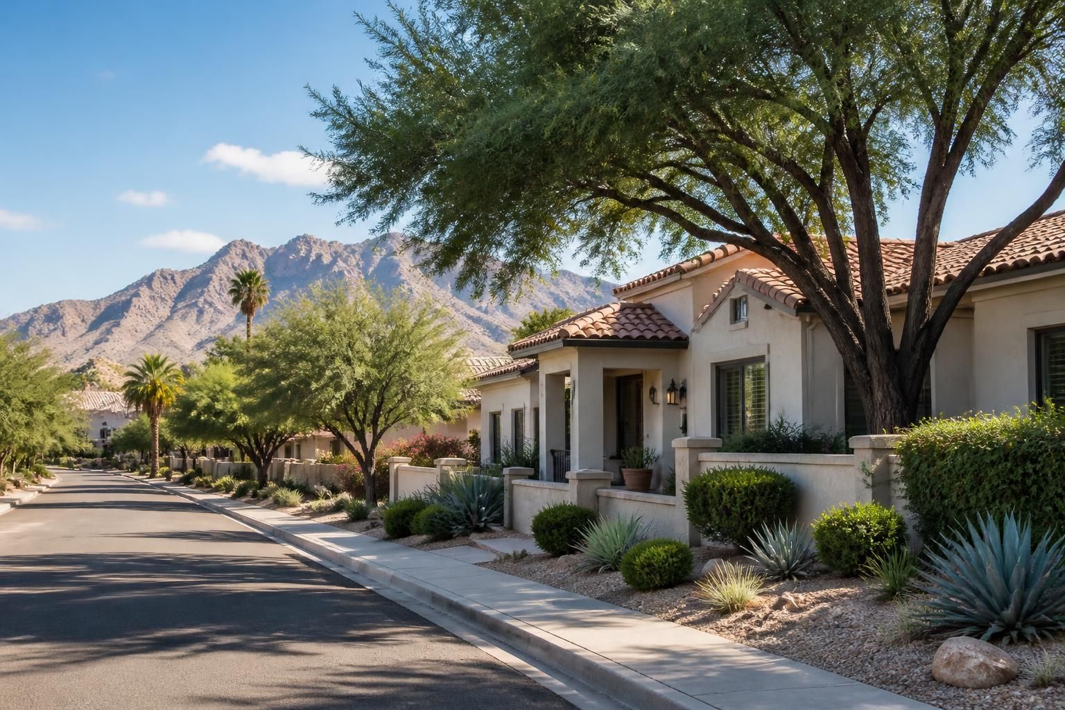 Residential streetscape with mature trees in Albuquerque