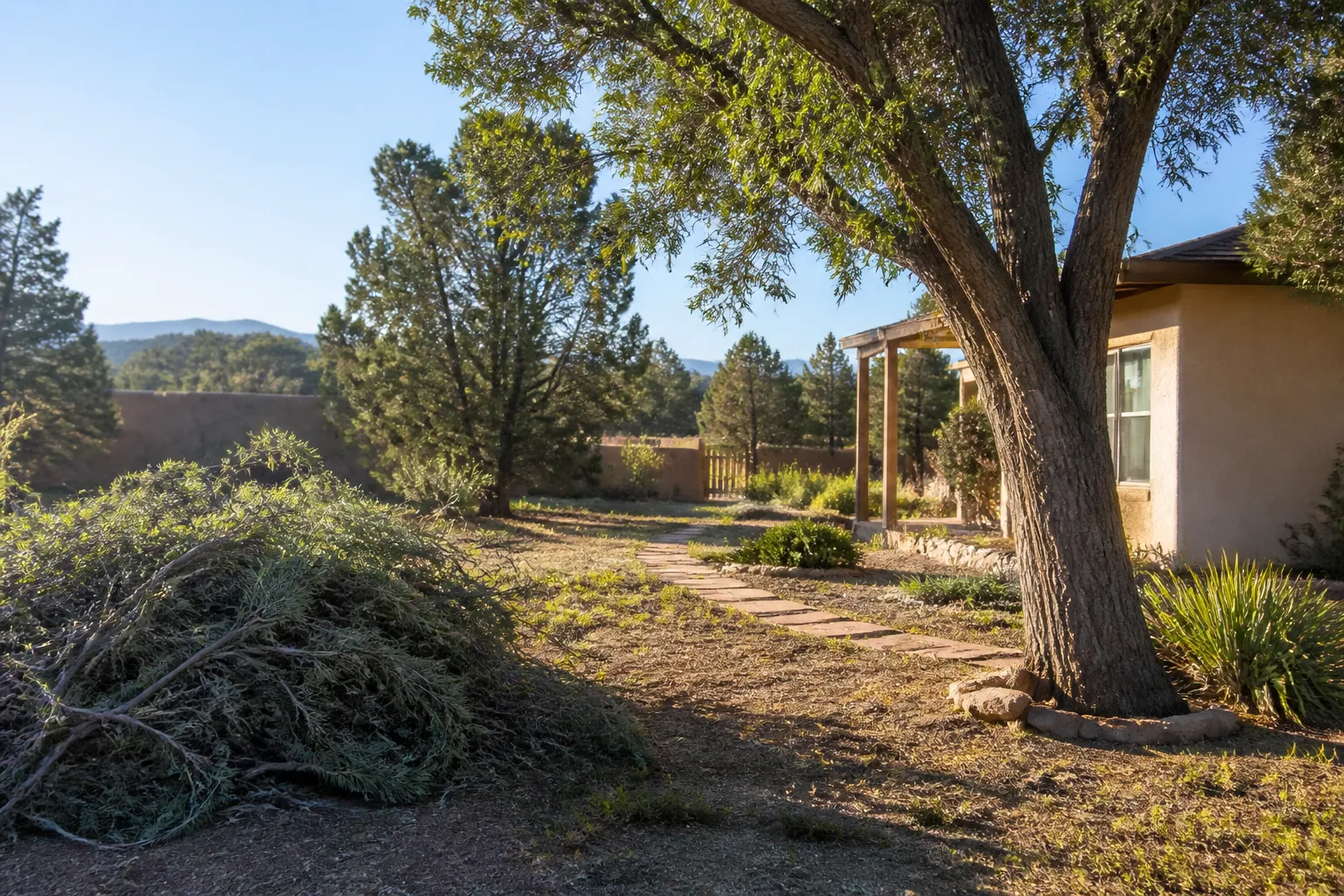 Cedar Crest Tree and Yard Service Area