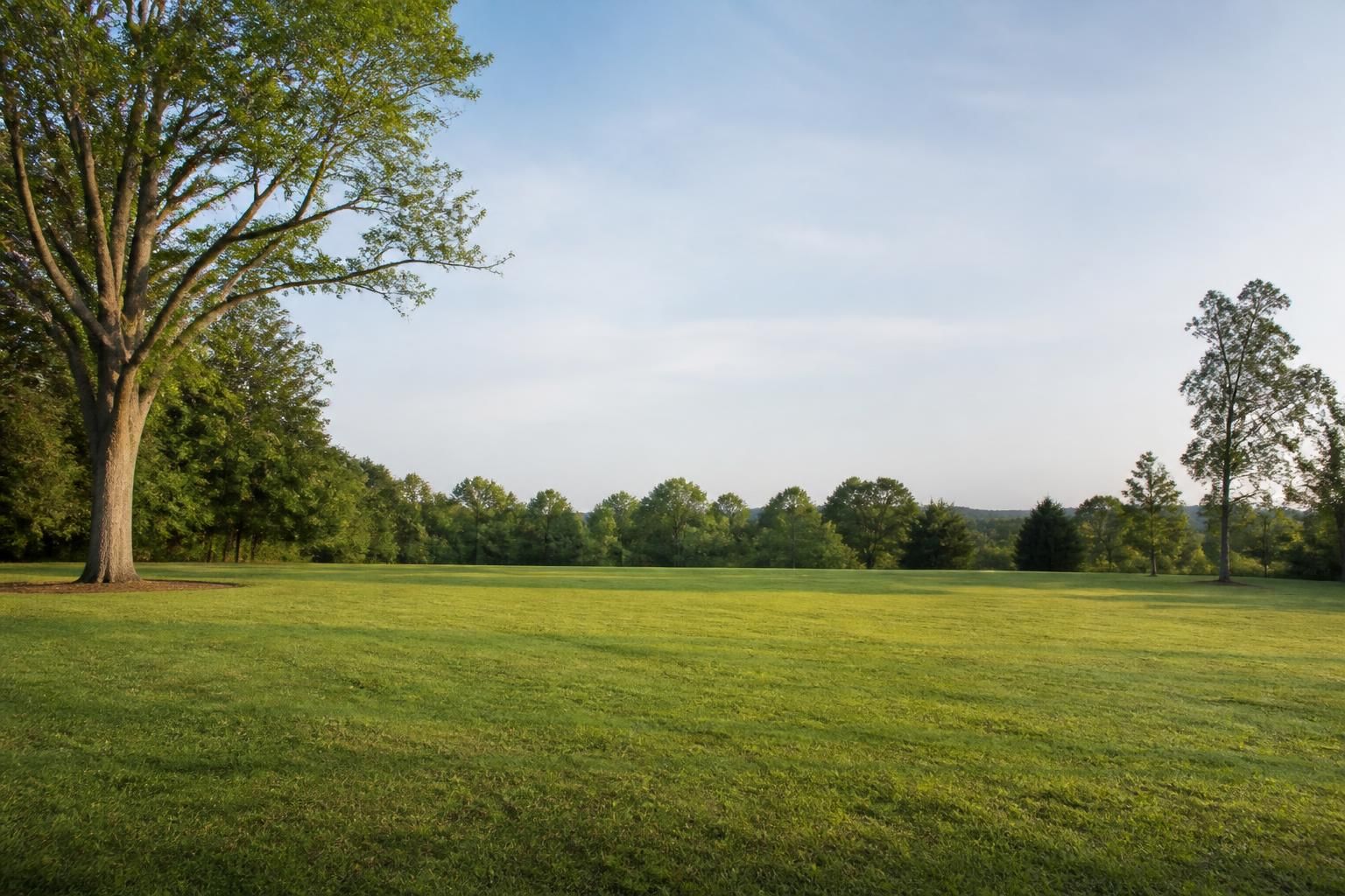 Freshly cleared property with open lawn and soft daylight
