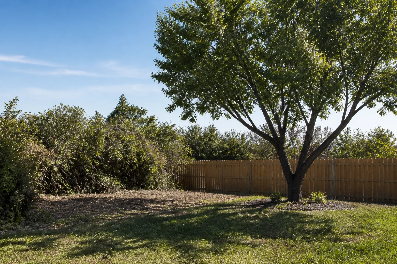 Edgewood Tree and Yard Service Area