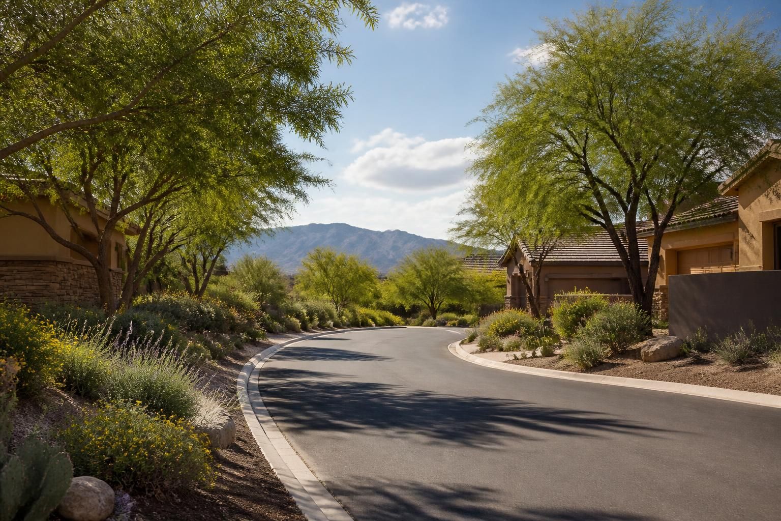 Scenic neighborhood with native landscaping in Placitas