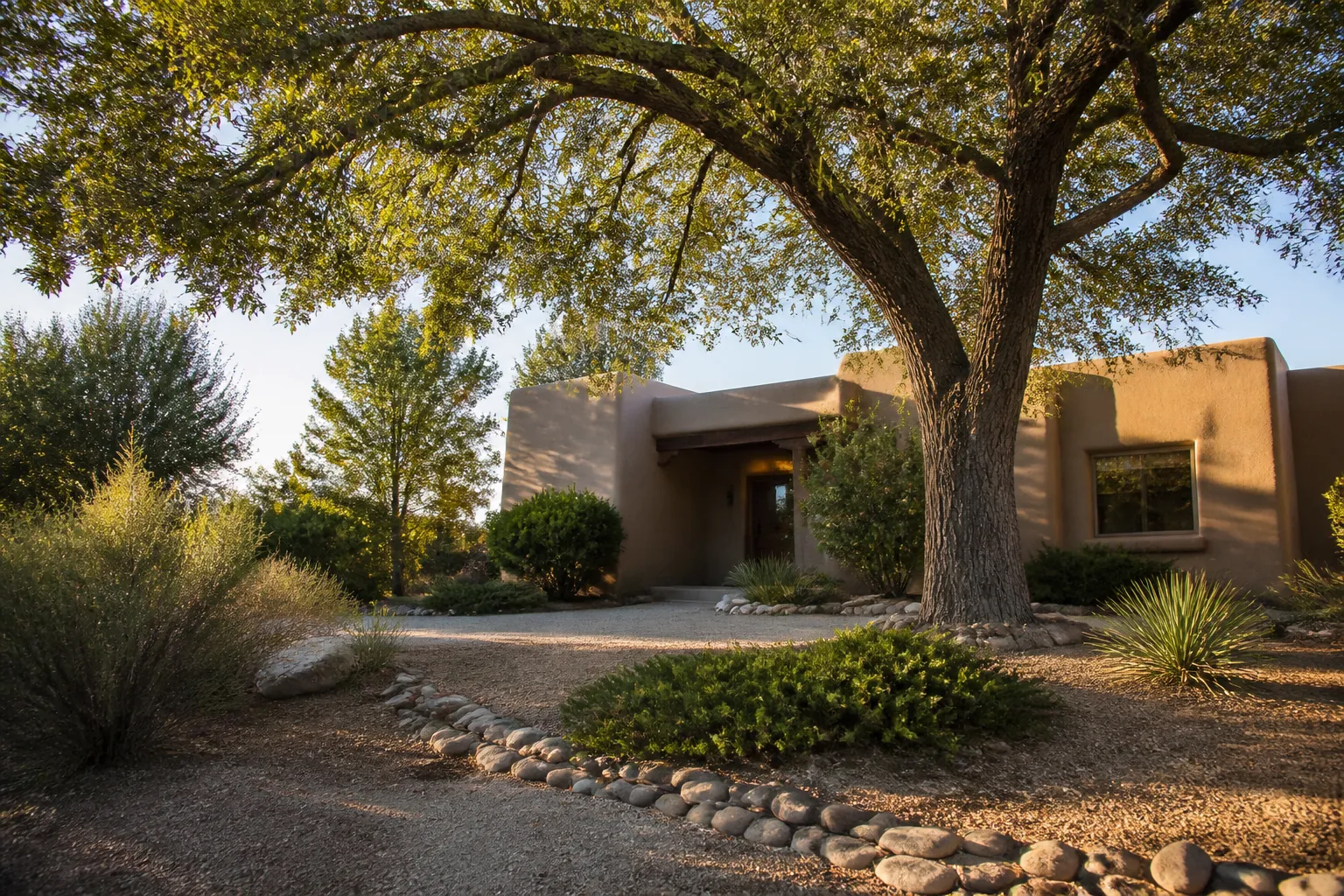 Sandia Heights Tree and Yard Service Area