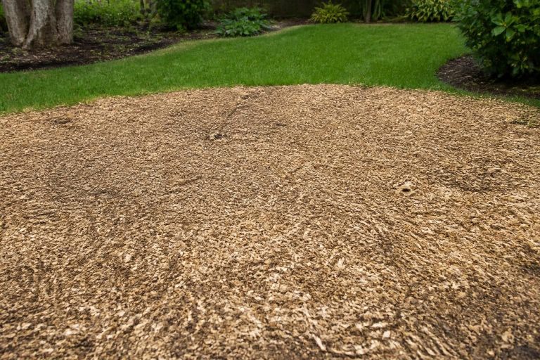 Stump Grinding