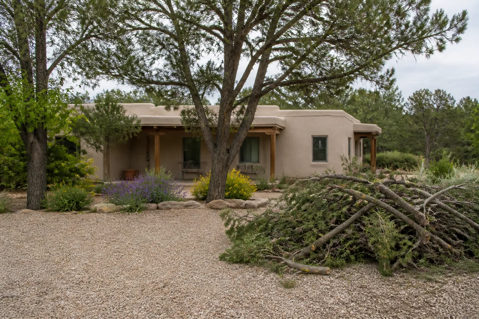 Tijeras Tree and Yard Service Area