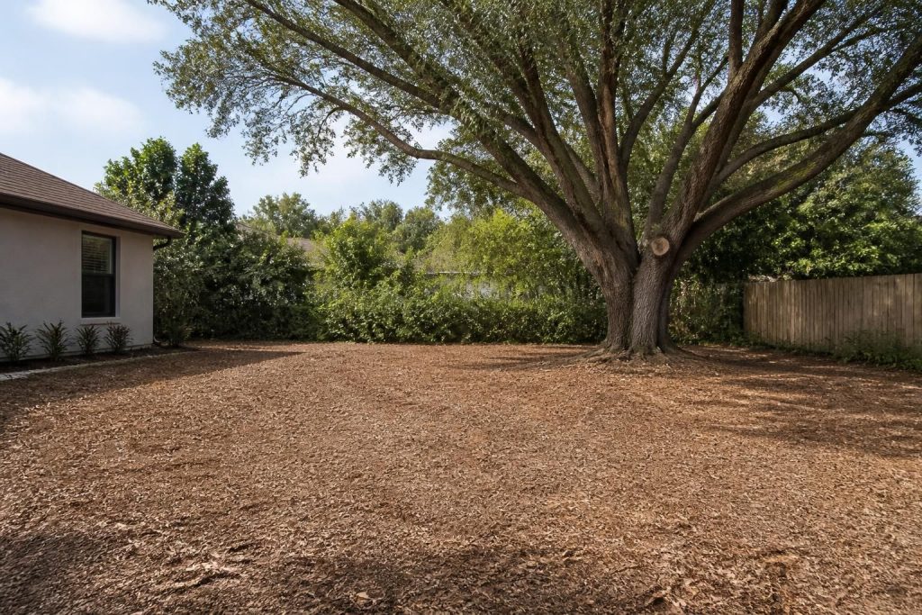 Freshly cleared yard with trimmed tree and tidy ground